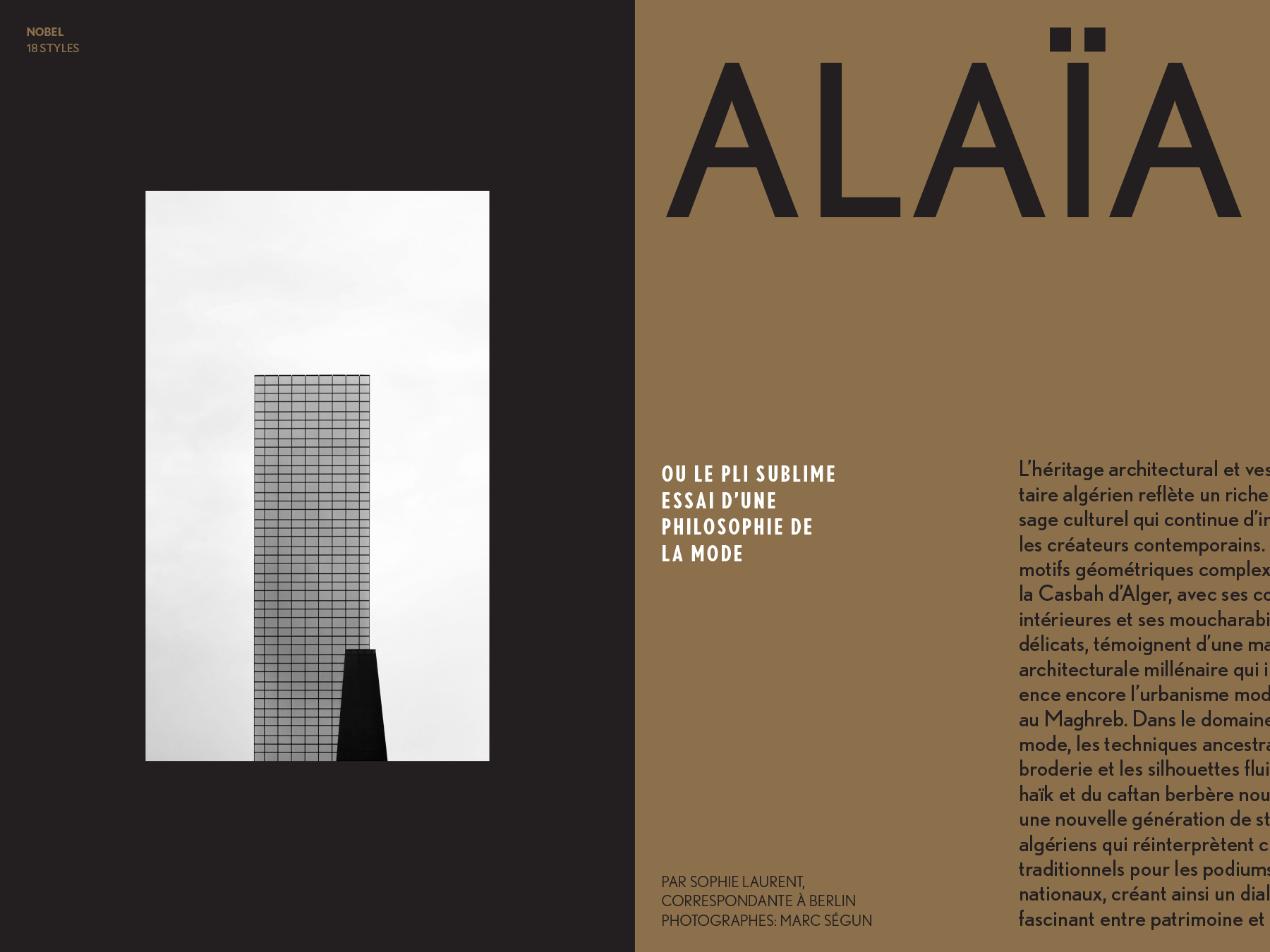 Alt text description